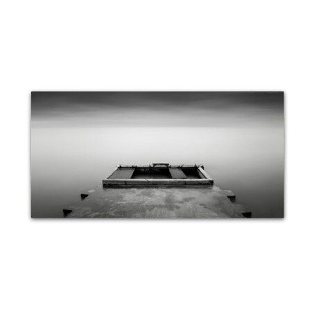 Trademark Fine Art Dave MacVicar 'Waste Management' Canvas Art, 10x19 ALI0862-C1019GG